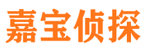 宁江侦探公司